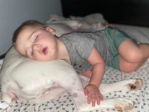 VIDEO: El bebé insiste en dormir junto al perrito todas las noches, pero hay una conmovedora razón detrás de eso además de ser tierno...