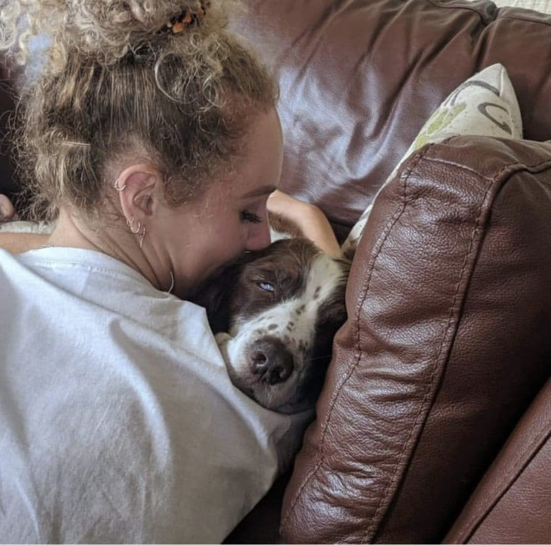 Para ayudar a su perro anciano, esta familia hace algo dulce y desinteresado... Para conocer más sobre su relación, haz clic aquí.