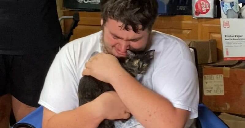 Este adolescente autista llora lágrimas de alegría al dar la bienvenida a un gatito rescatado después de perder a su leal gato de 16 años de amistad...