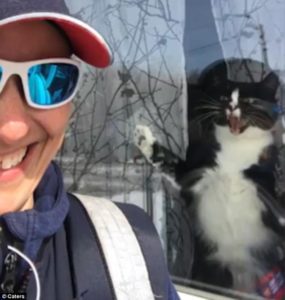Una cartera documenta videos hilarantes de un gato intentando proteger su área y peleando con ella cada vez que trae correos...