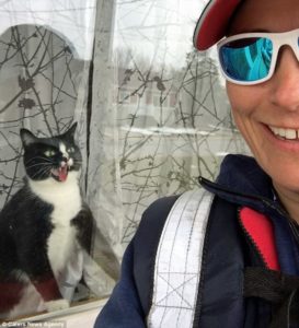 Una cartera documenta videos hilarantes de un gato intentando proteger su área y peleando con ella cada vez que trae correos...