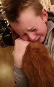 El niño se reencuentra con su gato desaparecido después de una ausencia de siete meses, y juntos hacen un adorable y conmovedor video... Míralo a continuación...