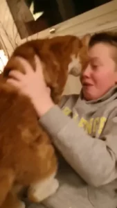 El niño se reencuentra con su gato desaparecido después de una ausencia de siete meses, y juntos hacen un adorable y conmovedor video... Míralo a continuación...