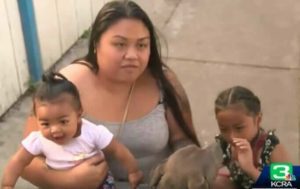 Un héroe Pit Bull salva la vida de un bebé de un incendio... Mira los detalles de este valiente rescate a continuación...
