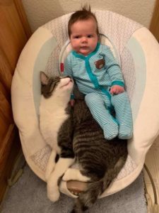 El gato aún no entiende por qué el bebé usa su saltador para bebés...