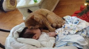 Este hermano pelirrojo es tan cariñoso que los dueños tienen que quitarlo a veces... Mira su amor absoluto hacia el bebé a continuación.