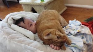 Este hermano pelirrojo es tan cariñoso que los dueños tienen que quitarlo a veces... Mira su amor absoluto hacia el bebé a continuación.