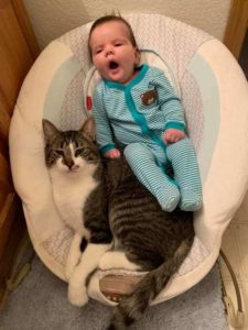 El gato aún no entiende por qué el bebé usa su saltador para bebés...