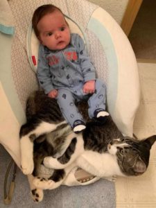 El gato aún no entiende por qué el bebé usa su saltador para bebés...
