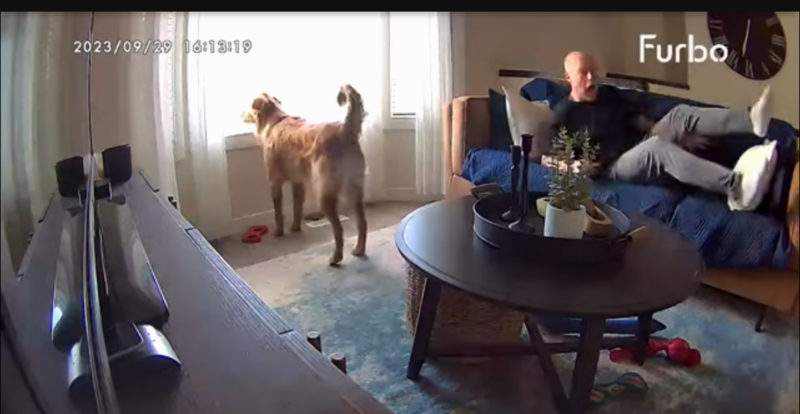 El momento divertido en que un perro ladrador despierta a un hombre dormido y le asusta el alma fuera del cuerpo.
