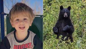 El niño perdido de 3 años cuenta cómo un oso "cuidaba" de él durante tres días.