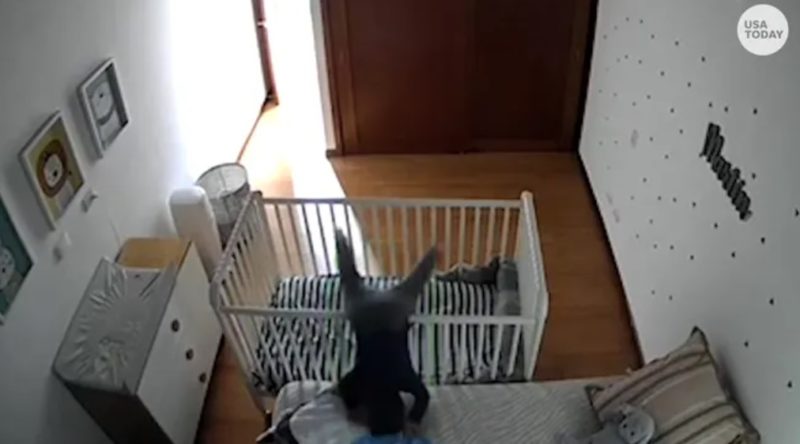 Capturando la ternura: La divertida escapada de un niño de la cuna ¡Grabada en cámara!