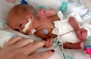 Contra viento y marea: El asombroso viaje de un prodigio prematuro de 4 años que supera a los maestros.