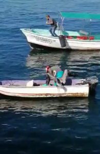 Observa lo que sucede cuando un pelícano busca un abrazo de un pescador.