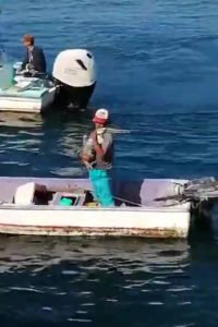 Observa lo que sucede cuando un pelícano busca un abrazo de un pescador.