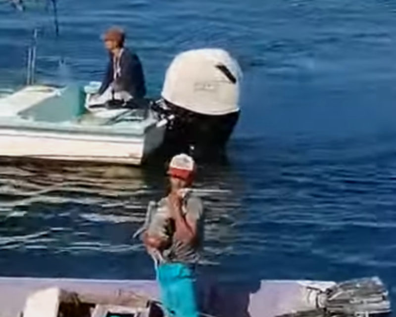Observa lo que sucede cuando un pelícano busca un abrazo de un pescador.