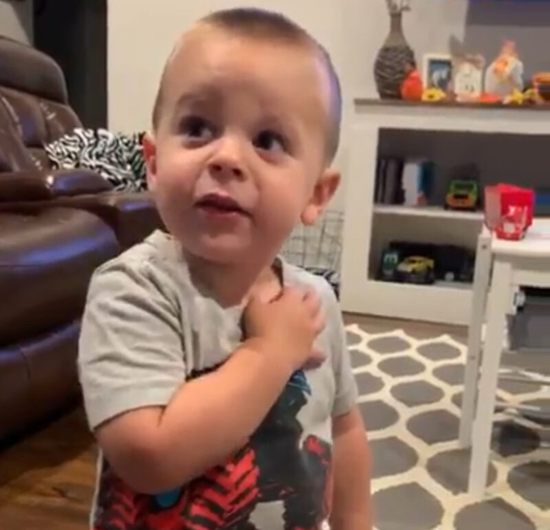 La versión del niño del Juramento de Lealtad derretirá tu corazón... luego ocurrió lo inesperado.