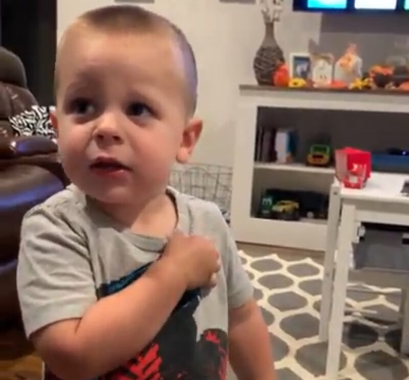 La versión del niño del Juramento de Lealtad derretirá tu corazón... luego ocurrió lo inesperado.
