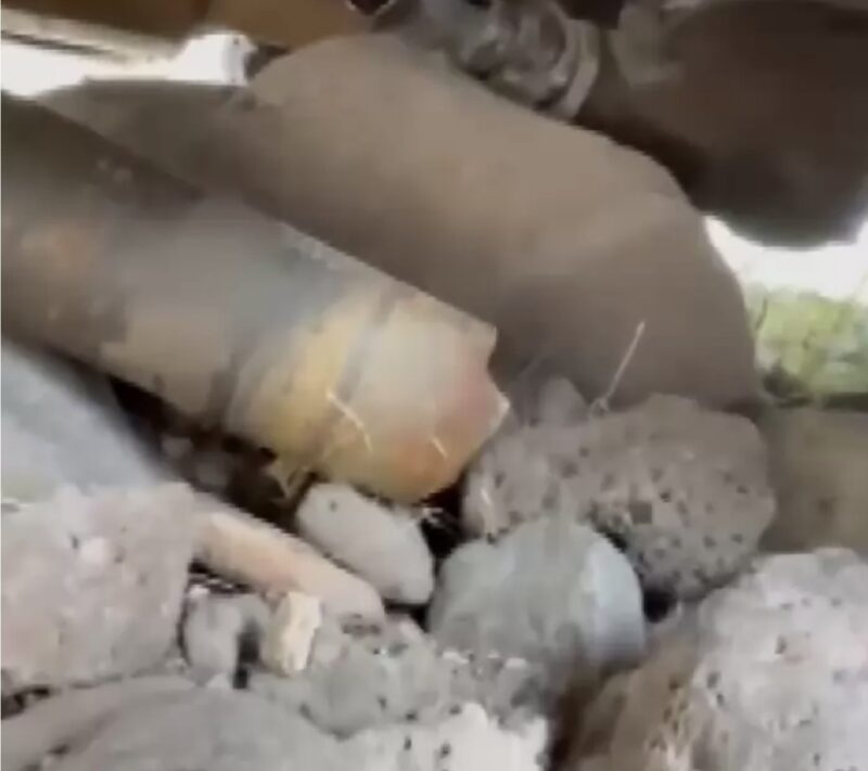 Hombre de Arizona queda varado y deshidratado en el desierto durante una semana con su perro...
