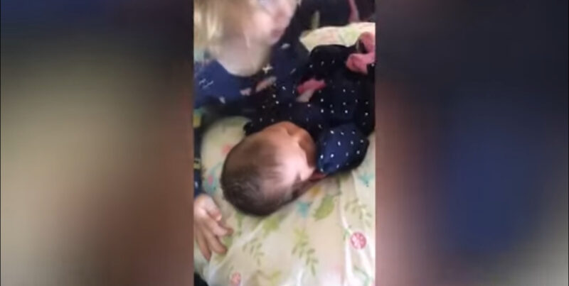 Momento épico y divertido: la primera vez que un niño conoce a un bebé recién nacido