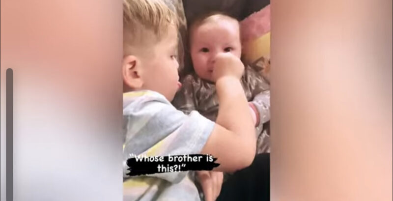 Momento épico y divertido: la primera vez que un niño conoce a un bebé recién nacido