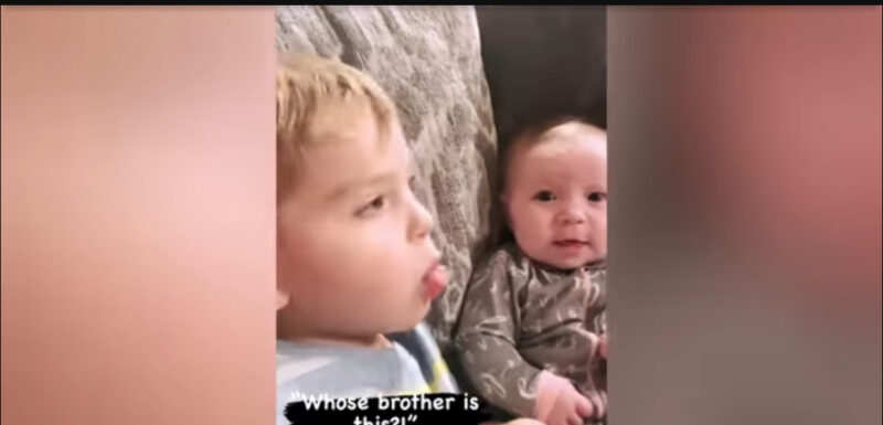 Momento épico y divertido: la primera vez que un niño conoce a un bebé recién nacido