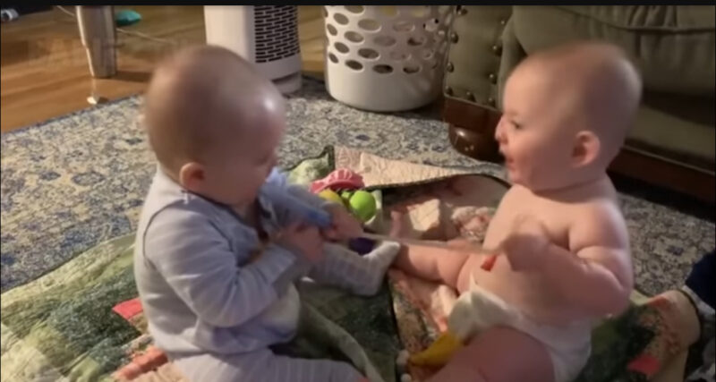 Los pequeños gemelos hablan, pero cuando los escuches, te derretirás. Encantador.
