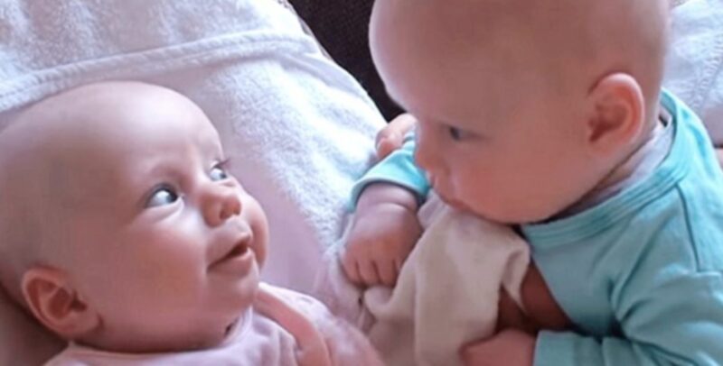 20.000.000 de visitas esta alegre conversación entre dos bebés arrasó en Internet