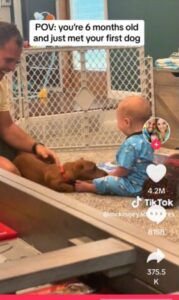 "¡Este dulce bebé se ríe de manera histérica al conocer a un perro! ¡Vamos a verlo!"