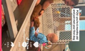 "¡Este dulce bebé se ríe de manera histérica al conocer a un perro! ¡Vamos a verlo!"