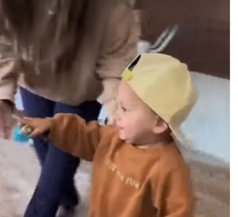 Las palabras más puras “Te amo”: la sorprendente reacción del niño al conocer a su hermanita recién nacida