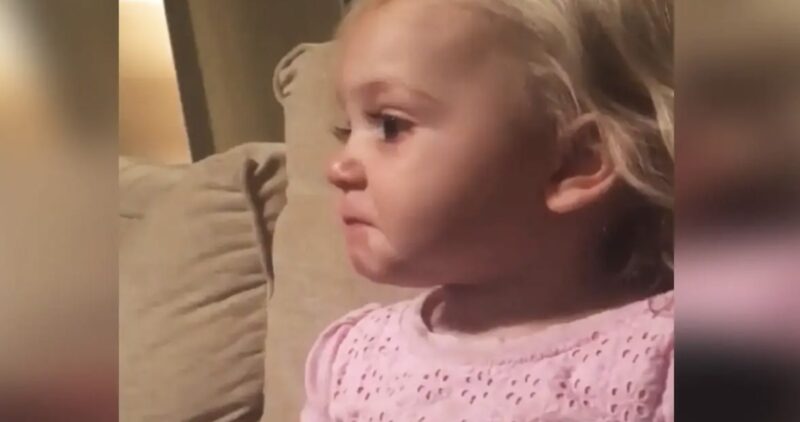 Niña de 2 años llora viendo una película, luego derrite su corazón con razón
