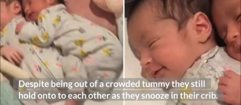 Un vídeo de bebés gemelos recién nacidos abrazados captura perfectamente la belleza del vínculo entre gemelos