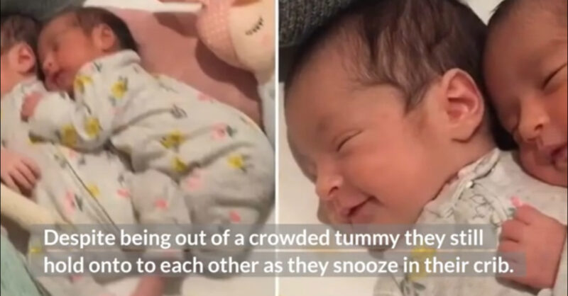 Un vídeo de bebés gemelos recién nacidos abrazados captura perfectamente la belleza del vínculo entre gemelos