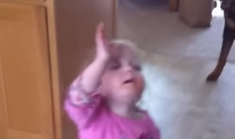 Un niño de 2 años se deja llevar por una canción de adoración