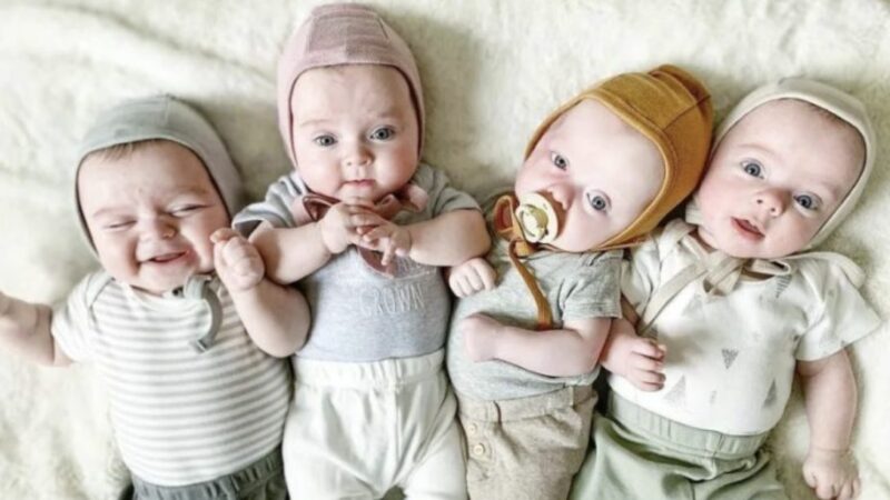 En lugar de un hijo, se convirtió en madre de cuatro a la vez: la verdadera sorpresa de la naturaleza