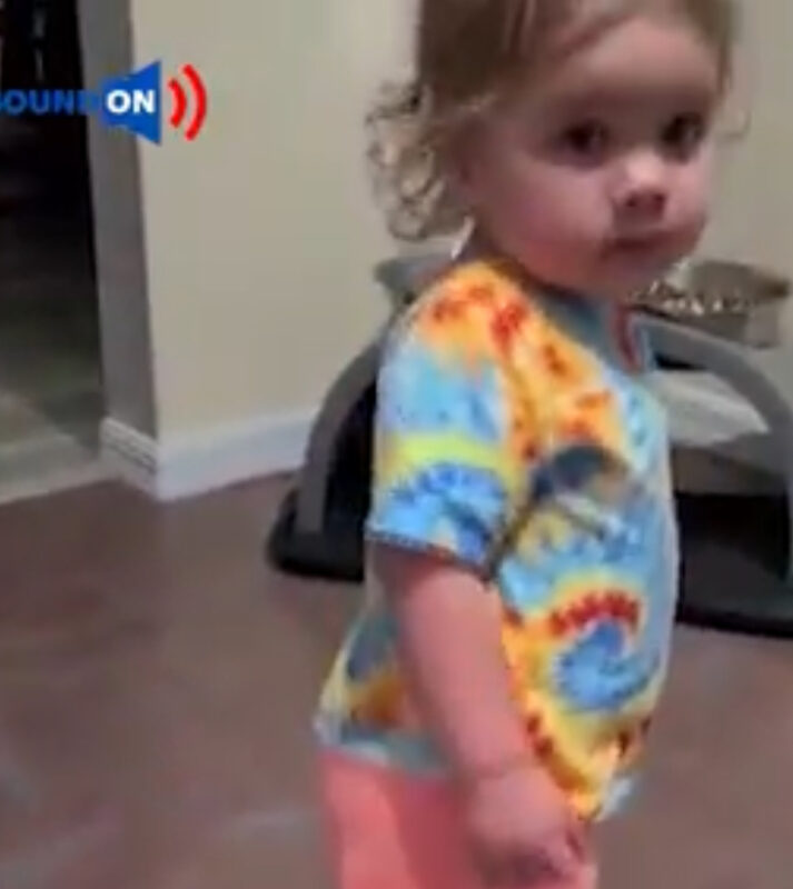 Una niña adorable sigue discutiendo con sus padres: ¡me alegró el día!