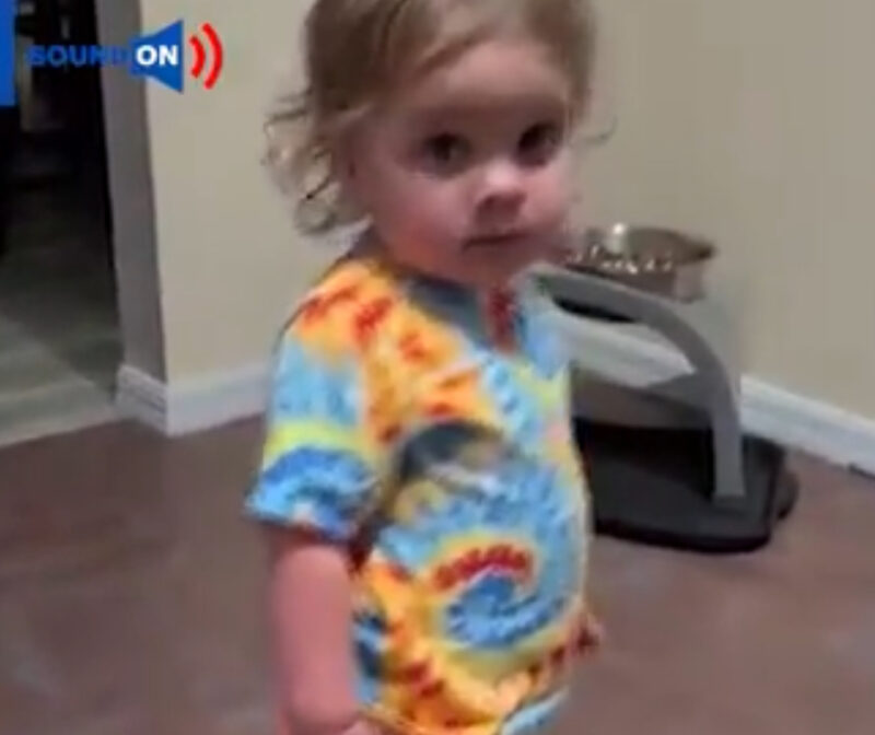 Una niña adorable sigue discutiendo con sus padres: ¡me alegró el día!