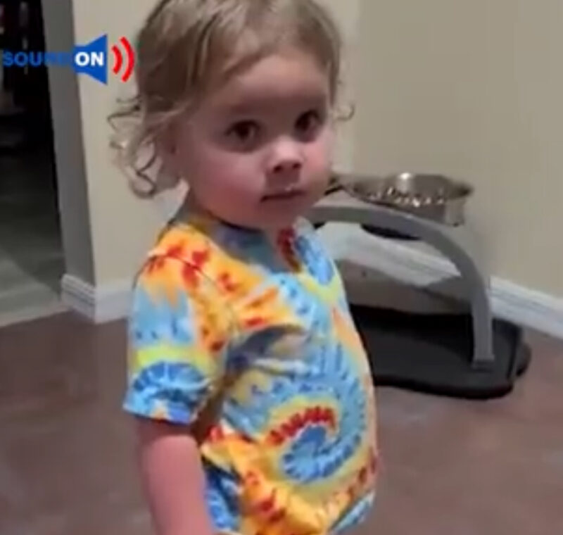 Una niña adorable sigue discutiendo con sus padres: ¡me alegró el día!