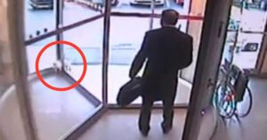 ¡Este lindo gatito quedó atrapado en una puerta… ¡Pero mira lo que hizo este hombre bondadoso!