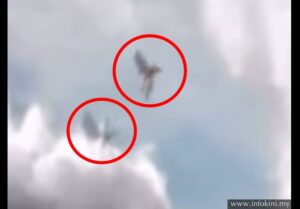 ¡Lo que el pasajero vio en el cielo requiere gran atención! ¡Este momento es muy interesante! ¡Veamos de qué se trata!