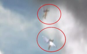 ¡Lo que el pasajero vio en el cielo requiere gran atención! ¡Este momento es muy interesante! ¡Veamos de qué se trata!