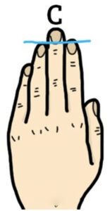 ¡Muéstrame tu mano y te revelaré tu personalidad! ¡Datos interesantes!
