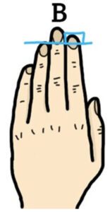 ¡Muéstrame tu mano y te revelaré tu personalidad! ¡Datos interesantes!