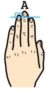 ¡Muéstrame tu mano y te revelaré tu personalidad! ¡Datos interesantes!