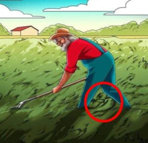 "¿Puedes encontrar al hermano de este granjero en la imagen? Solo lo encontrarán aquellos con buena vista."