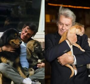 ¿Por qué se negó la familia de Alain Delon a cumplir su último deseo? ¡Noticias impactantes!