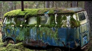 En el bosque, una familia encontró un autobús abandonado. ¡Lo que vieron al entrar les dejó sorprendidos! ¿Qué había allí?