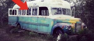En el bosque, una familia encontró un autobús abandonado. ¡Lo que vieron al entrar les dejó sorprendidos! ¿Qué había allí?