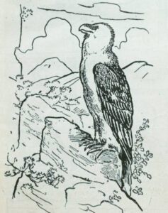 Es un enigma visual que requiere atención. ¿Puedes encontrar el corderito escondido que ha capturado este águila?